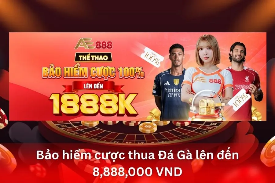 Bảo hiểm cược thua Đá Gà lên đến 8,888,000 VND