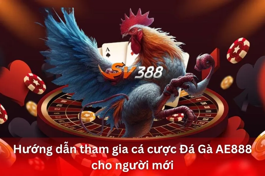 Hướng dẫn tham gia cá cược Đá Gà AE888 cho người mới