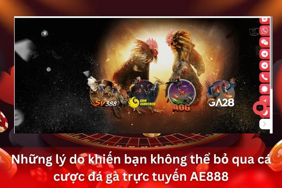 Những lý do khiến bạn không thể bỏ qua cá cược đá gà trực tuyến AE888