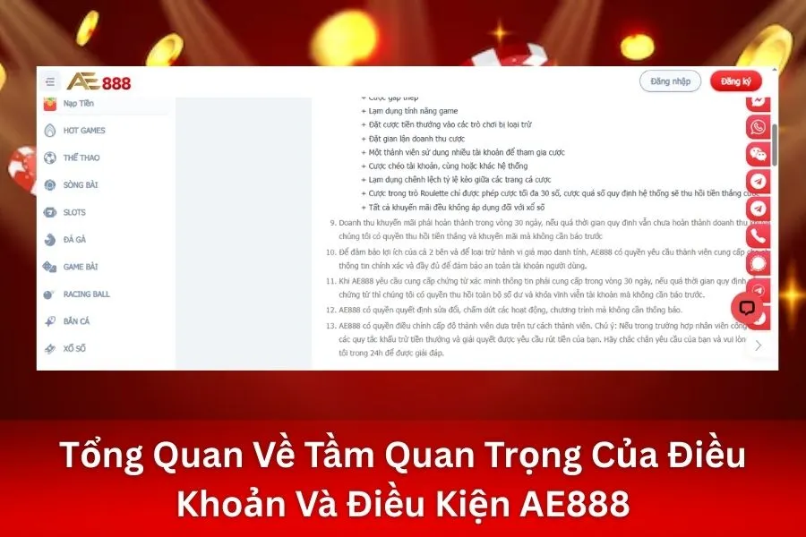Tổng Quan Về Tầm Quan Trọng Của Điều Khoản Và Điều Kiện AE888
